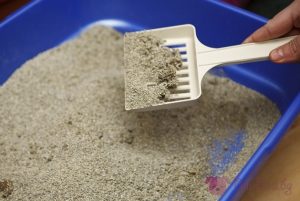  котешка тоалетна 