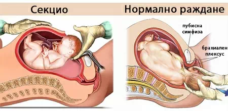 Една от пробиващите си път модерни тенденции е връщане към