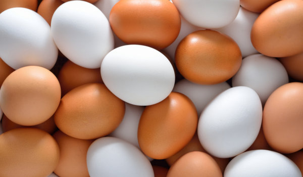 Белите кокоши яйца а и не само те вече струват