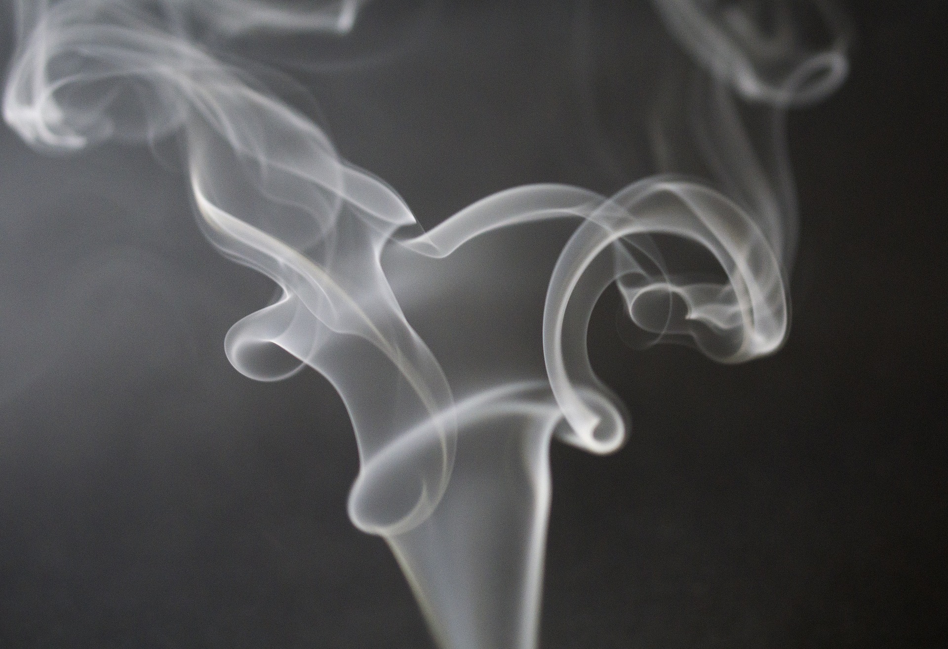 5 изпитани хитрини които работят
Цигареният дим прониква навсякъде и миризмата