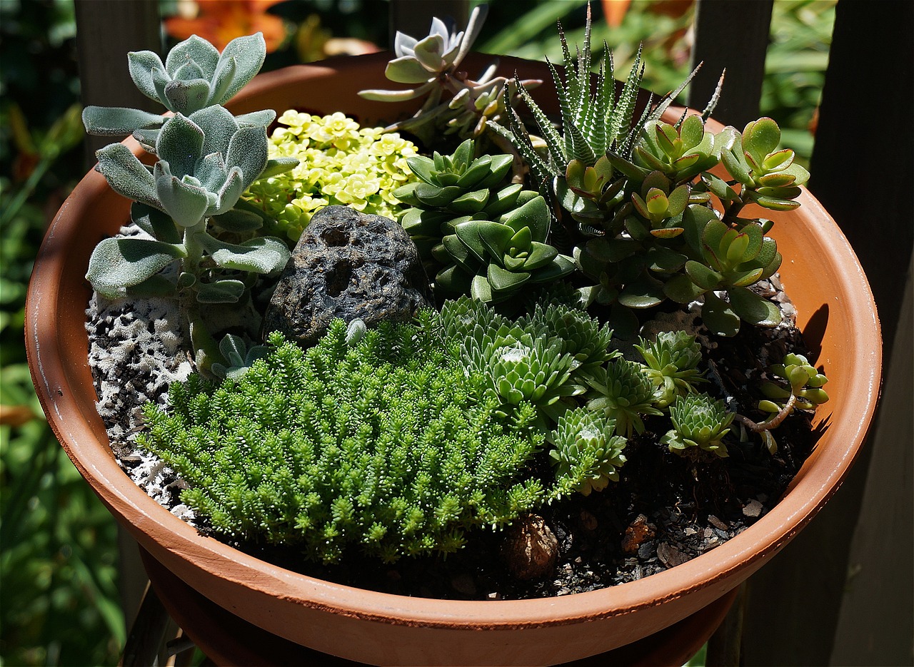 Снимка: Как да си направим миниатюрна градина